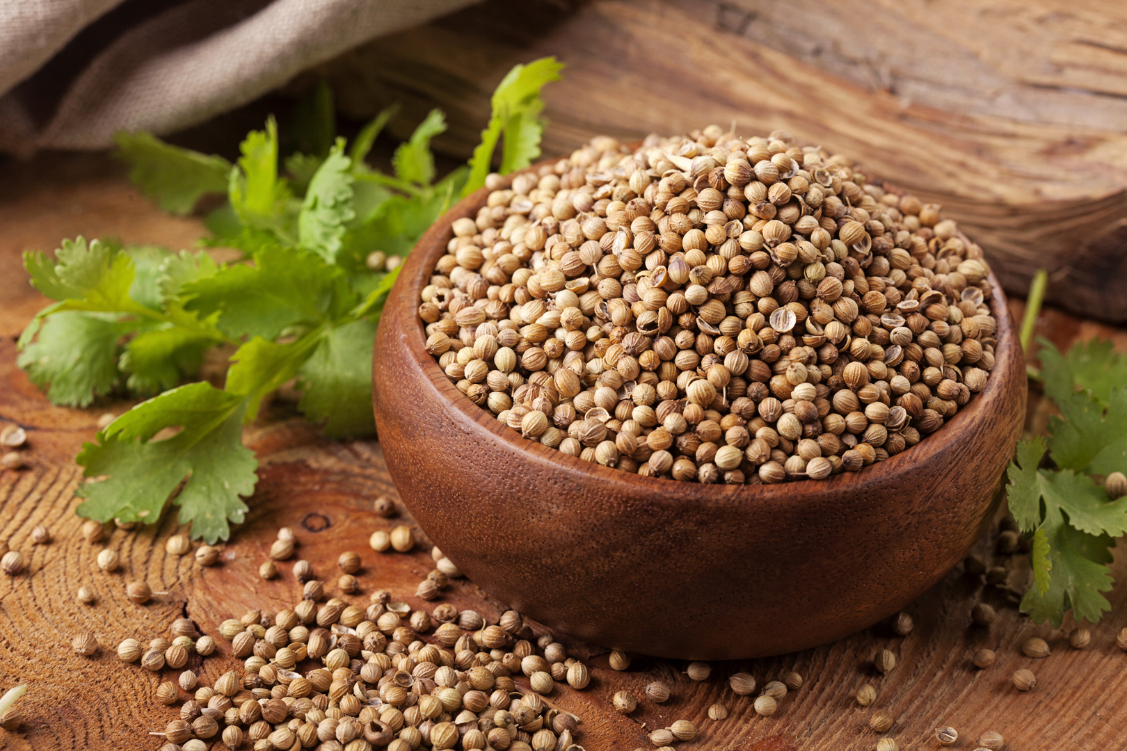 Coriander Seed Oleoresin Plant Lipids (P) Ltd. Ingredients Network